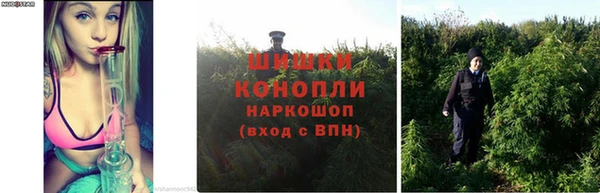 таблы Медногорск