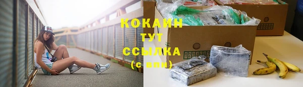 прущие грибы Лиски