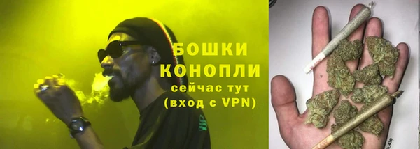 молекула духа Ладушкин