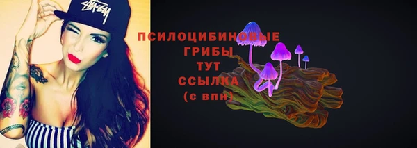 прущие грибы Лиски