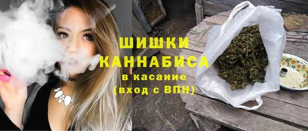 прущие грибы Лиски