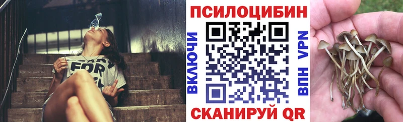 наркотики  Старый Крым  гидра ТОР  Галлюциногенные грибы мицелий 